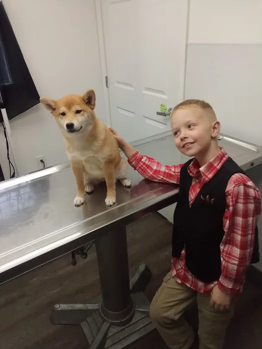 Affordable Vet Clinic 4