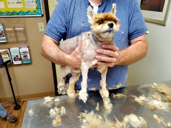 Adams County Veterinary Services - Dr. Dan Meakin 8