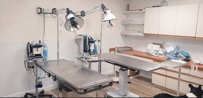 Adams County Veterinary Services - Dr. Dan Meakin 2