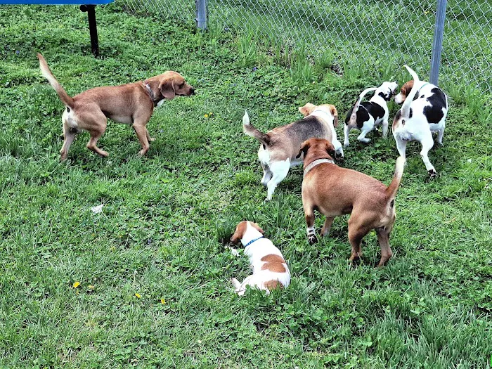 Colonial Heights Veterinary Clinic 3