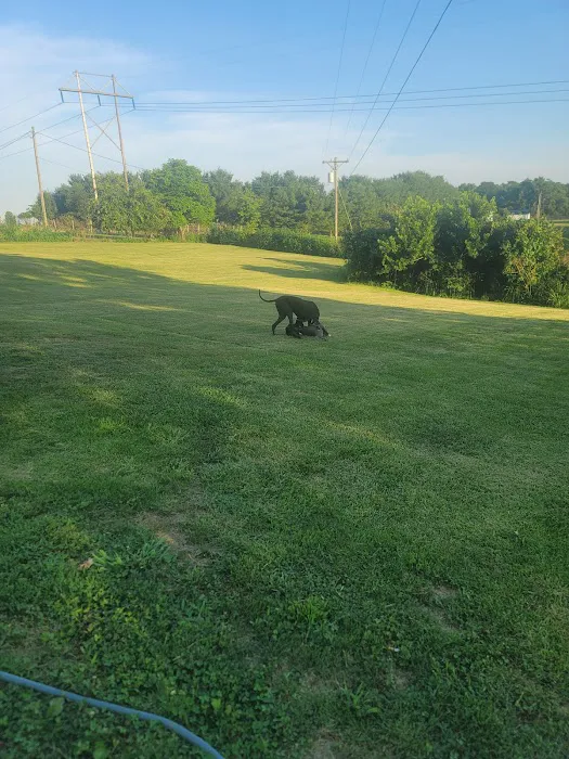 Colonial Heights Veterinary Clinic 1