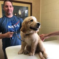 Hillsboro Veterinary Hospital ico
