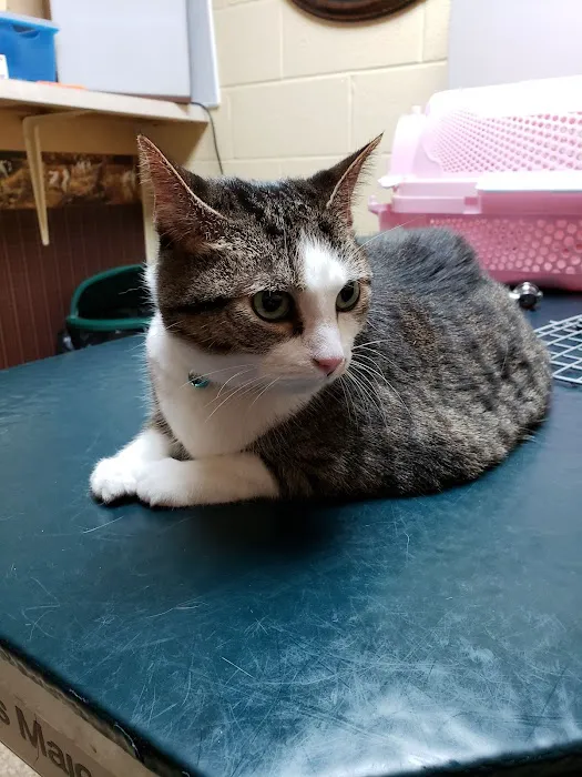 Hillsboro Veterinary Hospital 5