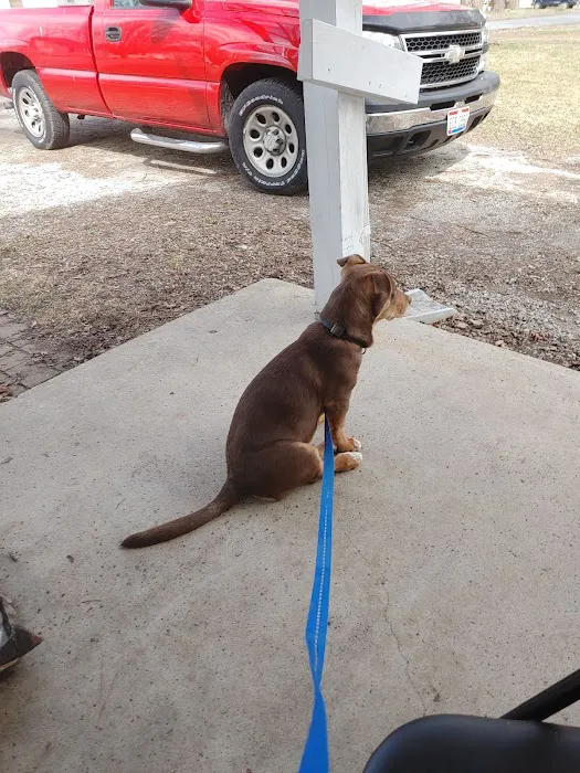 Wilmington Animal Clinic 2