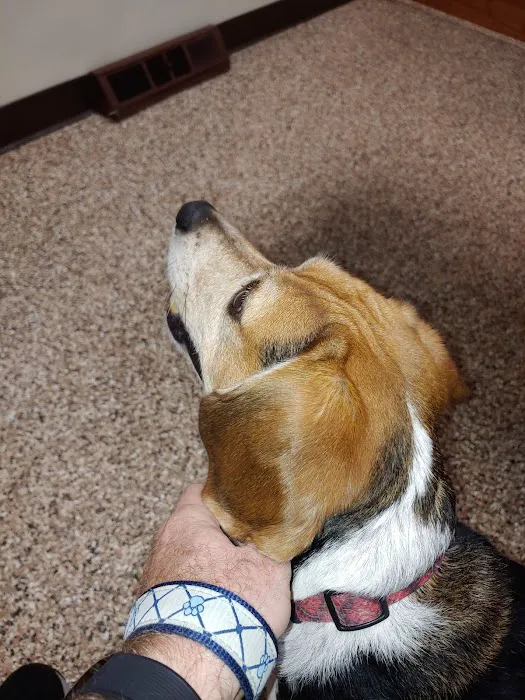 Clinton Animal Care Center 7