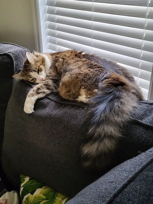 Clinton Animal Care Center 9