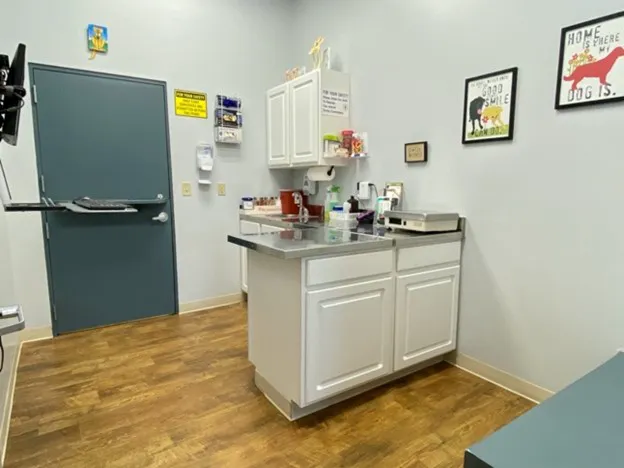 Orchard Veterinary Care 5