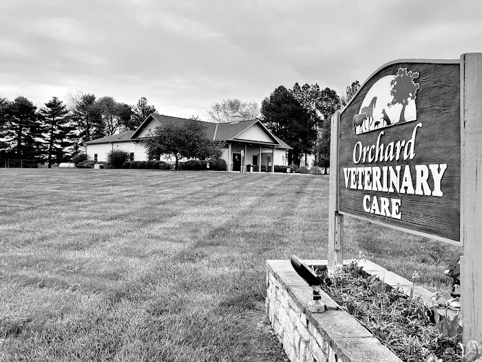 Orchard Veterinary Care 9