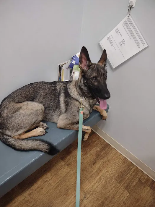 Orchard Veterinary Care 7