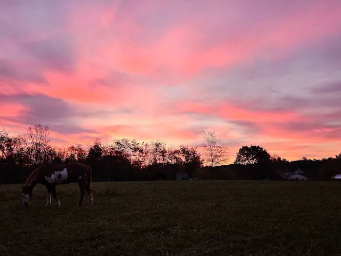 Fall Creek Equine Clinic Inc 1