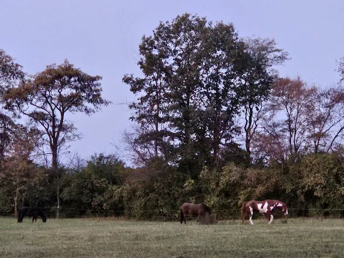 Fall Creek Equine Clinic Inc 2