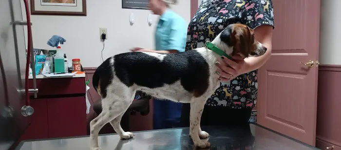 Paint Creek Veterinary Clinic 10