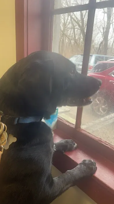 Greenfield Veterinary Clinic 1