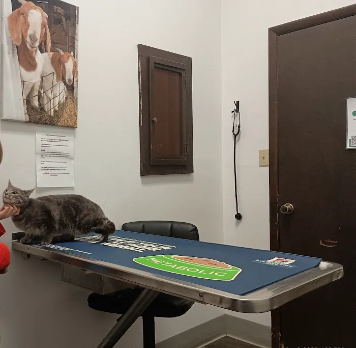 Greenfield Veterinary Clinic 5