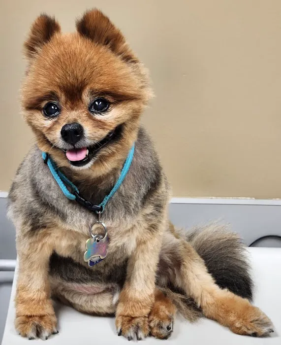 Country View Pet Hospital, LLC 5