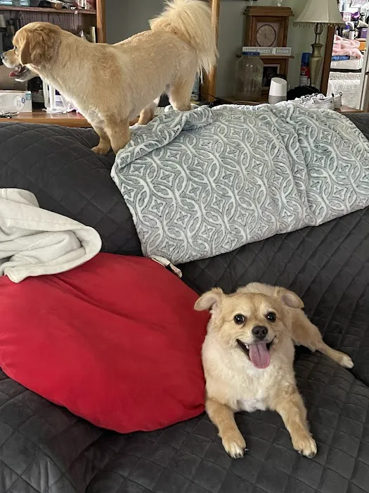 Country View Pet Hospital, LLC 3