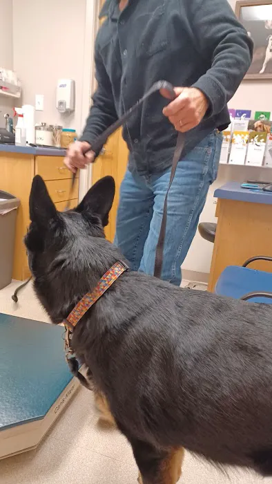 Mahomet Animal Hospital 1