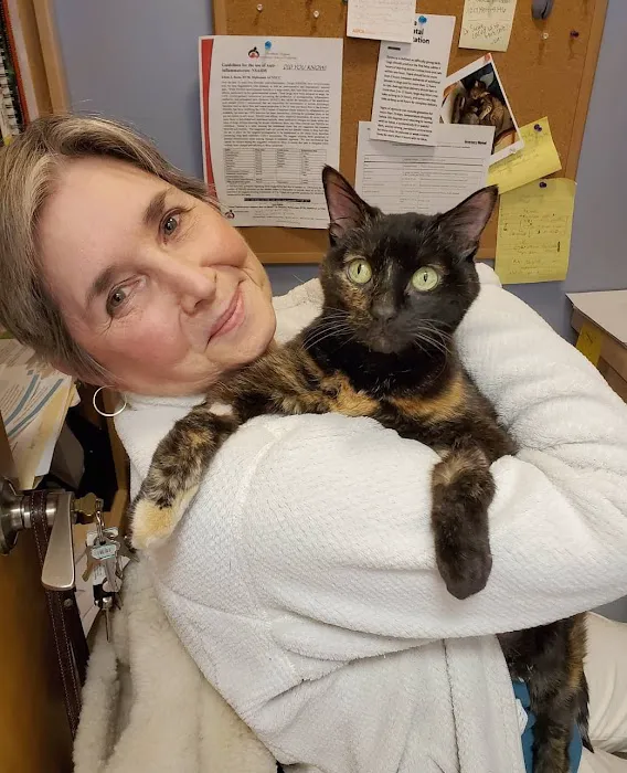 Mahomet Animal Hospital 7