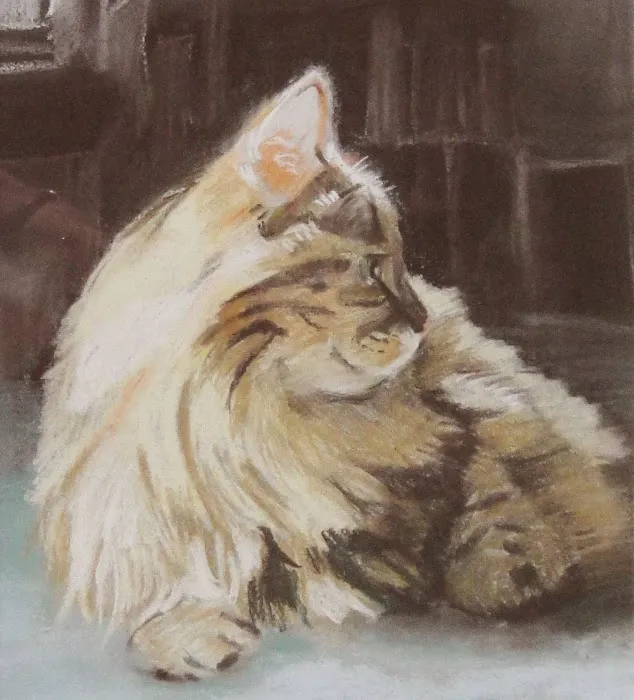 Mahomet Animal Hospital 8