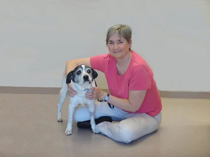 Mahomet Animal Hospital 4