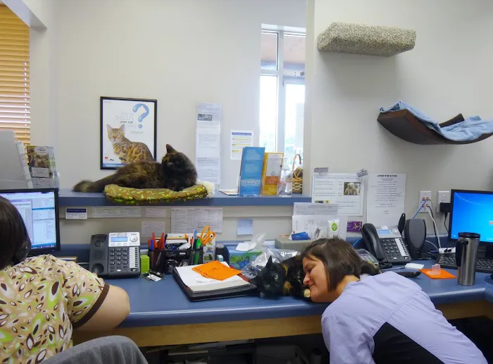 Mahomet Animal Hospital 3