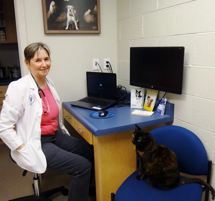 Mahomet Animal Hospital 9