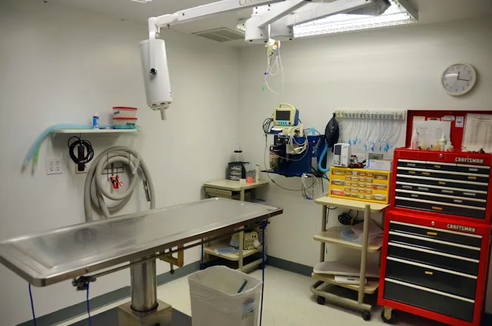 Harvest Valley Veterinary Services 3