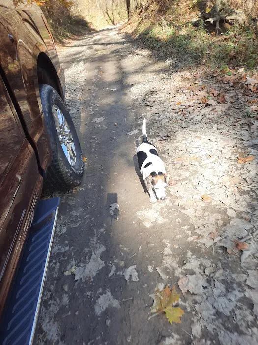 Town & Country Animal Hospital 7