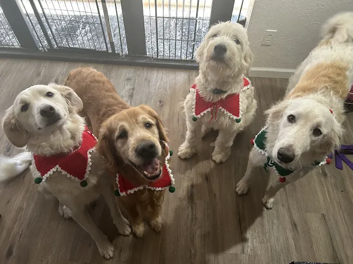 Brunswick Animal Hospital 9