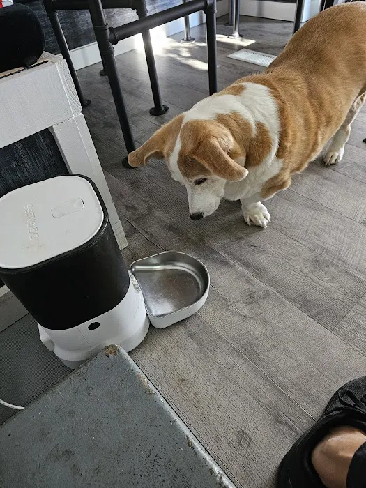 SmartVet 1