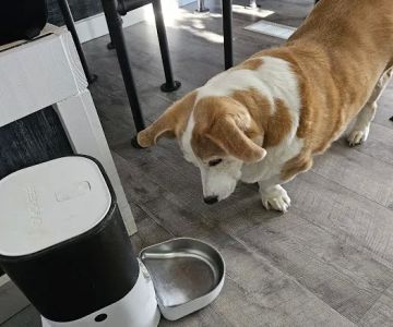 SmartVet