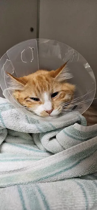 Prairie Oak Veterinary Center 4