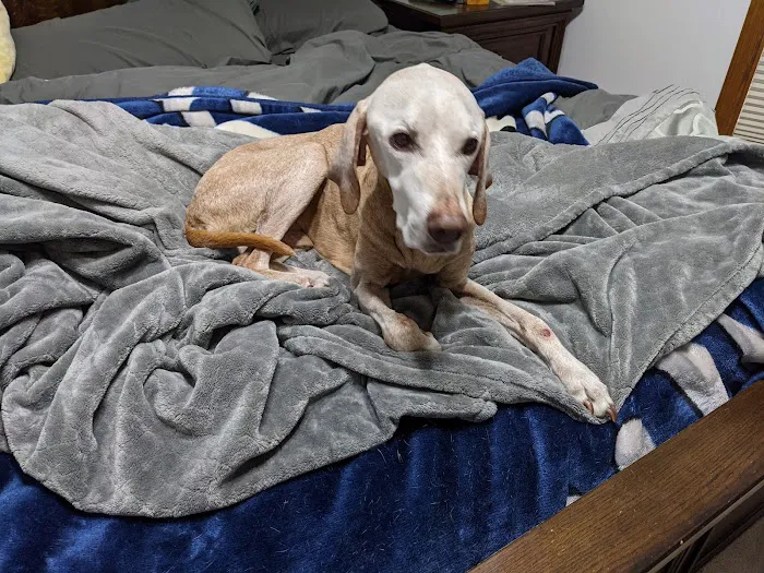 Prairie Oak Veterinary Center 7