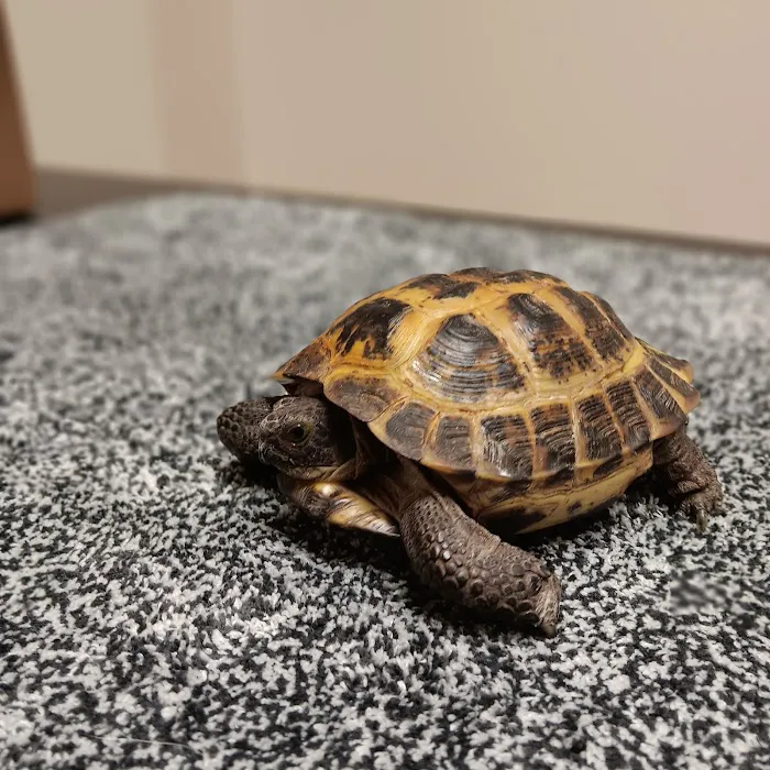 Prairie Oak Veterinary Center 10