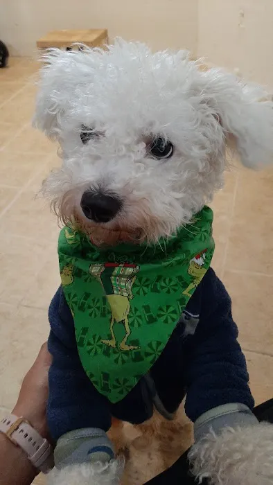 Vetco Vaccination Clinic 4