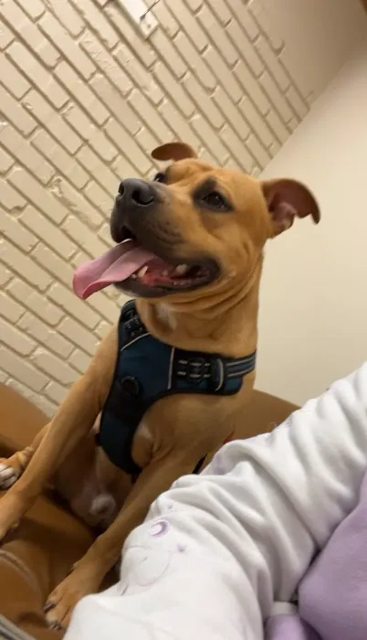 Fairway Knolls Veterinary Hospital 5