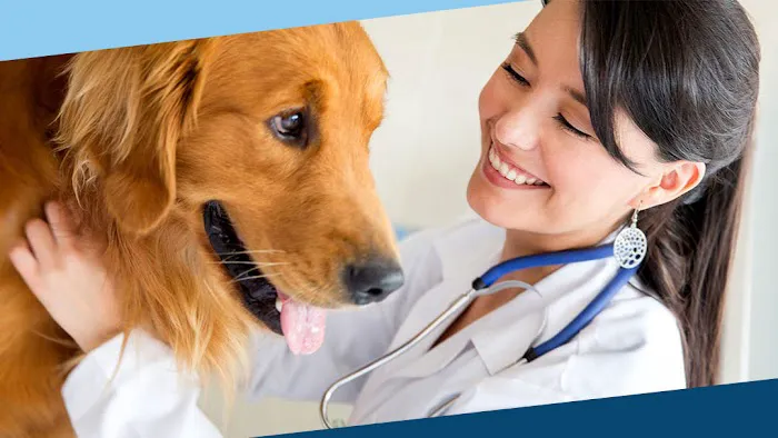 Fairway Knolls Veterinary Hospital 6