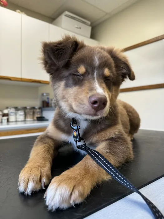 Teegarden Veterinary Clinic 3