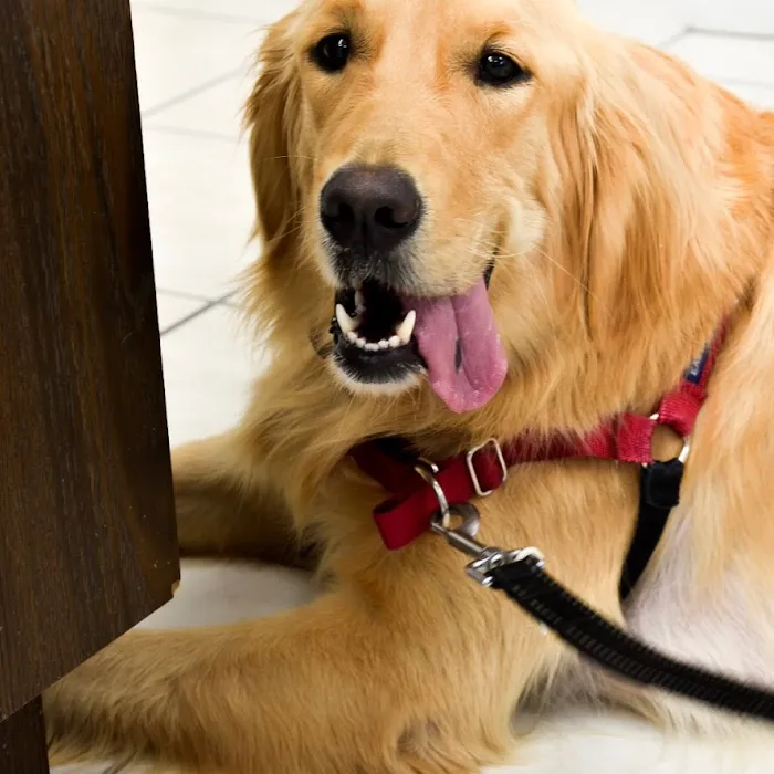 Eastland Companion Animal Hospital 10