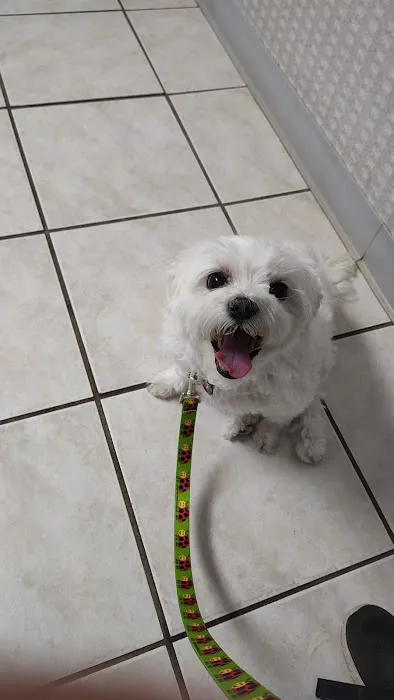 Eastland Companion Animal Hospital 2