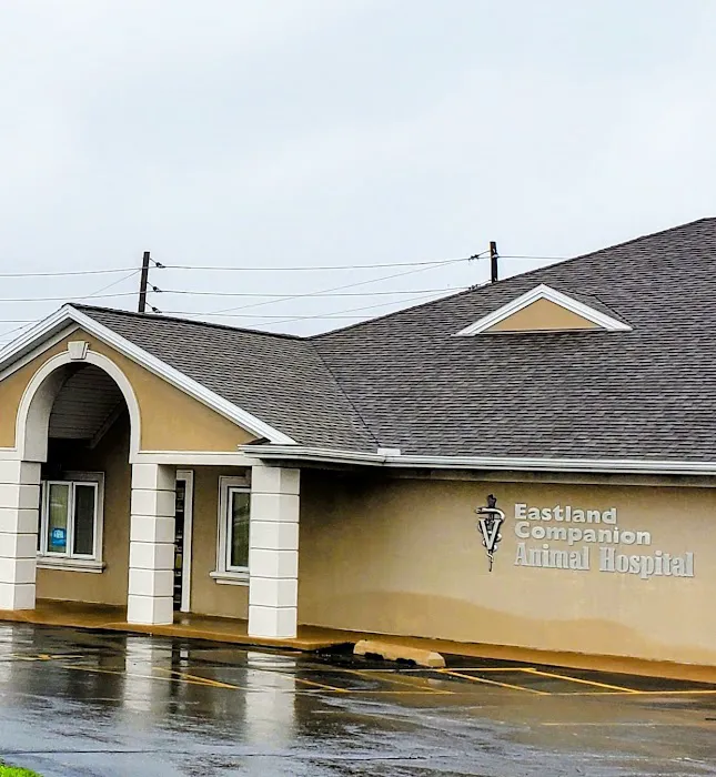 Eastland Companion Animal Hospital 4