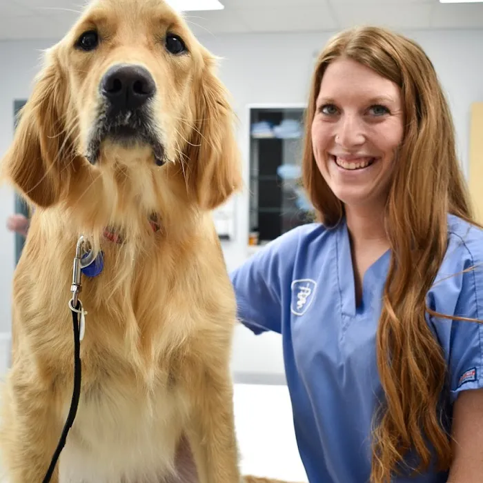 Eastland Companion Animal Hospital 9