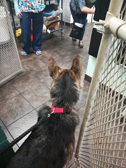 Bortell Animal Hospital 1