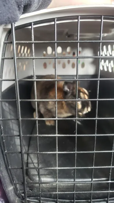 Mt Horeb Animal Hospital 5