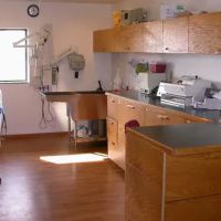 Spring Green Animal Hospital ico