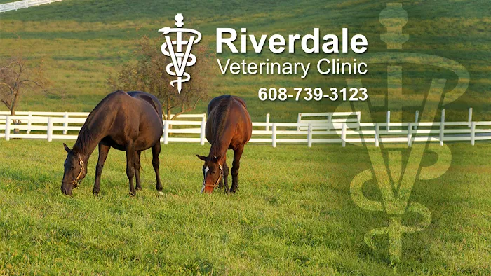 Riverdale Veterinary Clinic 8