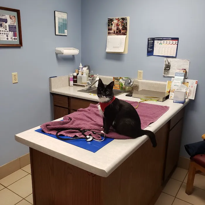 Riverdale Veterinary Clinic 2