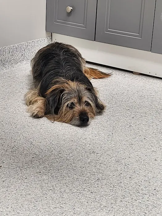 Delaware Northwest Veterinary Clinic 3