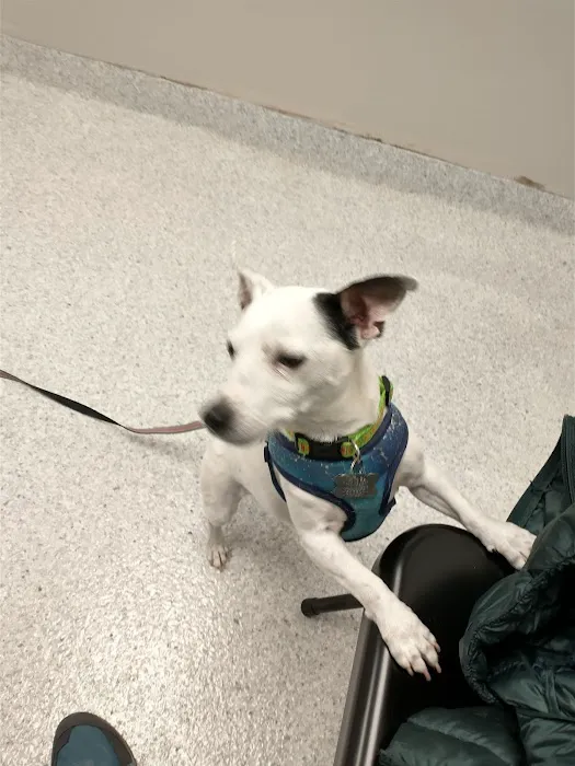 Delaware Northwest Veterinary Clinic 2
