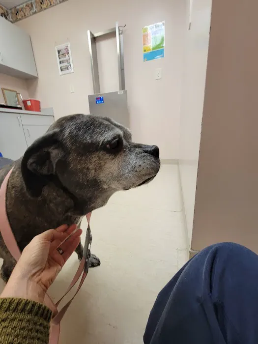 Sunbury Veterinary Clinic 8